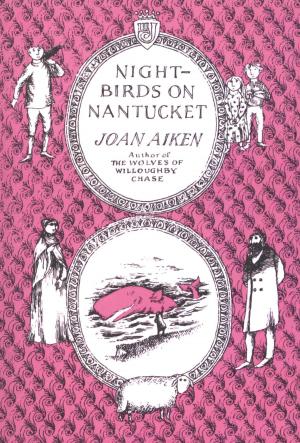 Book cover of Nightbirds on Nantucket