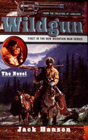 Cover of the book Wildgun by Robert Kaplow