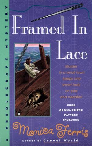 Cover of the book Framed in Lace by Holly Robinson