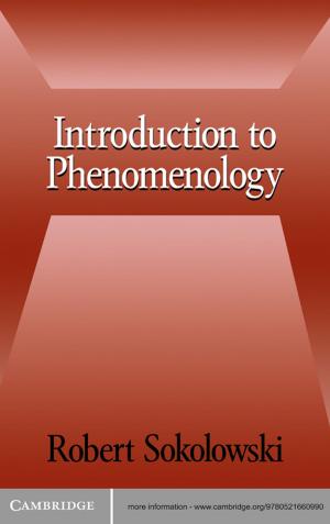 Cover of the book Introduction to Phenomenology by Octavian Ichim