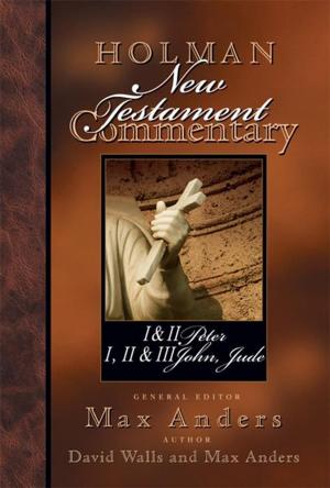 Cover of the book Holman New Testament Commentary - 1 & 2 Peter, 1 2 & 3 John and Jude by Andrew M. Davis, Ph.D.