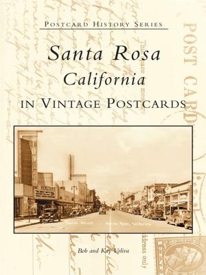 Cover of the book Santa Rosa, California in Vintage Postcards by Joel Tator