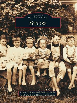 Cover of the book Stow by Jeremy K. Davis