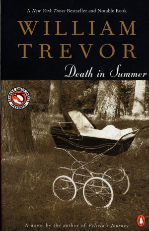 Cover of the book Death in Summer by Paula Uruburu
