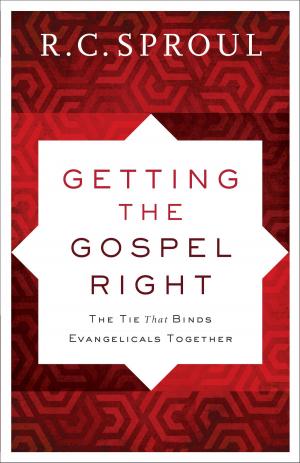 Cover of the book Getting the Gospel Right by Siri Mitchell