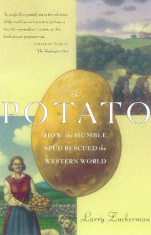 Cover of the book The Potato by Anna Raverat