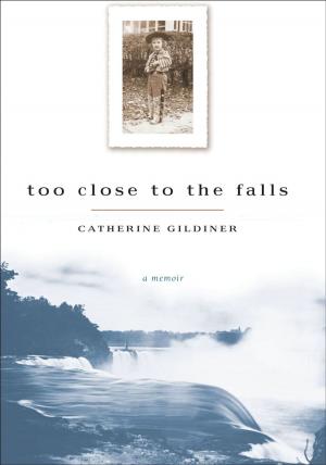 Book cover of Too Close to the Falls