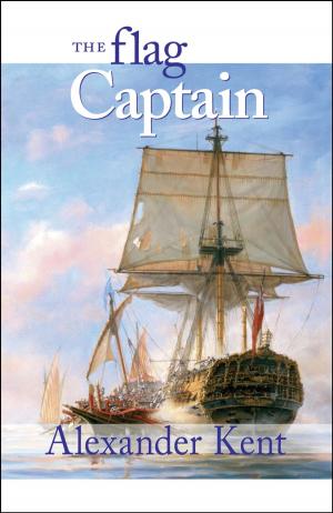 Cover of the book The Flag Captain by V. A. Stuart