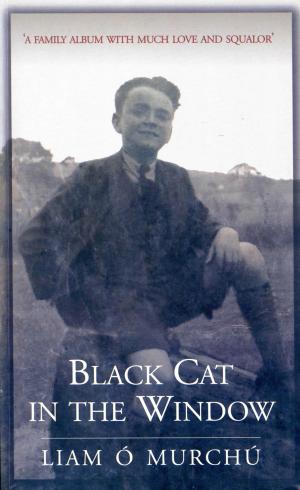 Cover of Black Cat in the Window: A Family Album with Much Love and Squalor