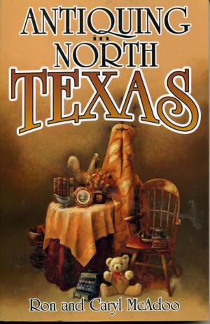 Book cover of Antiquing in North Texas