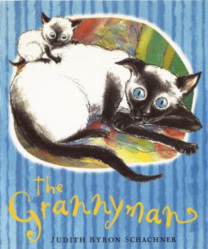 Cover of the book The Grannyman by Franklin W. Dixon