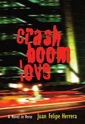 Cover of the book CrashBoomLove by Anita Rodríguez