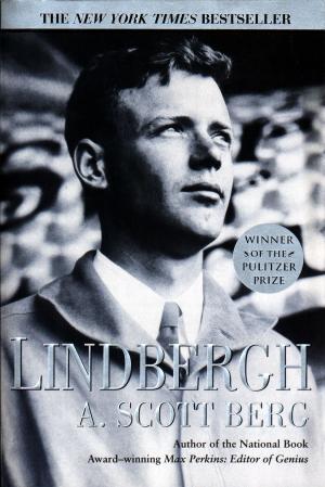 Cover of the book Lindbergh by S. M. Stirling