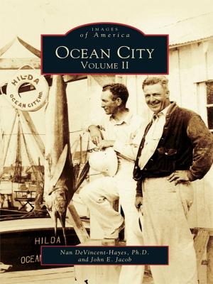 Cover of the book Ocean City by Janine Fallon-Mower