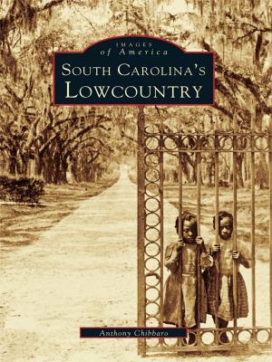Cover of the book South Carolina's Lowcountry by Carol G. Smythe