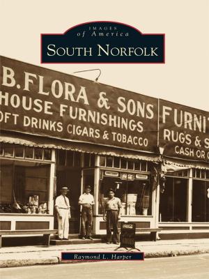 Cover of the book South Norfolk by John Carlisle