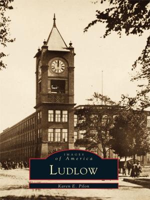 Cover of the book Ludlow by Mark A. Stevens, A.J. 'Alf' Peoples
