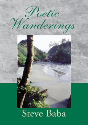Cover of the book Poetic Wanderings by Jim Hawley