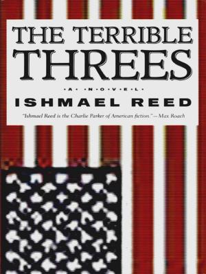 Cover of the book The Terrible Threes by Colum McCann