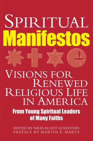 Cover of the book Spiritual Manifestos by David A. Cooper