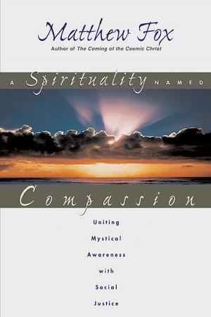 Cover of the book A Spirituality Named Compassion by Katharina Nemayer