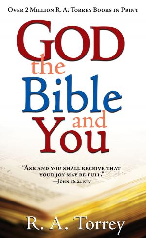 Book cover of God the Bible and You
