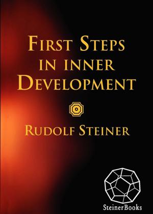 Cover of the book First Steps in Inner Development by Rudolf Steiner
