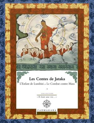 Cover of the book Contes de Jataka - Volume III by Eric Van Horn