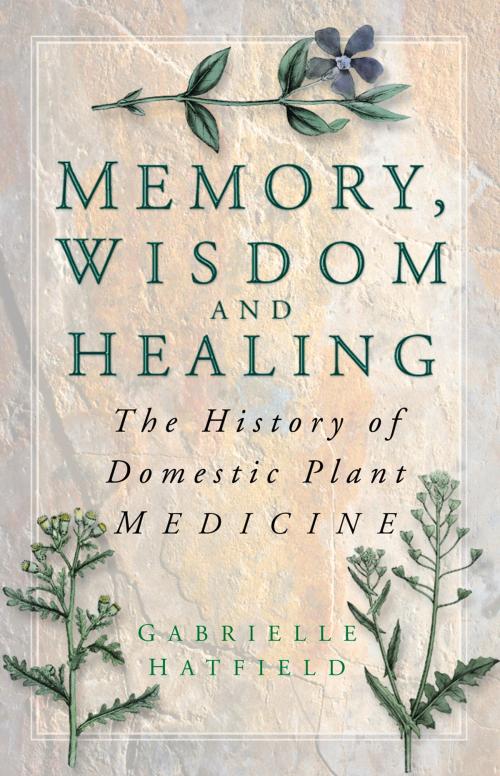 Cover of the book Memory, Wisdom and Healing by Jenny Sabine, The History Press