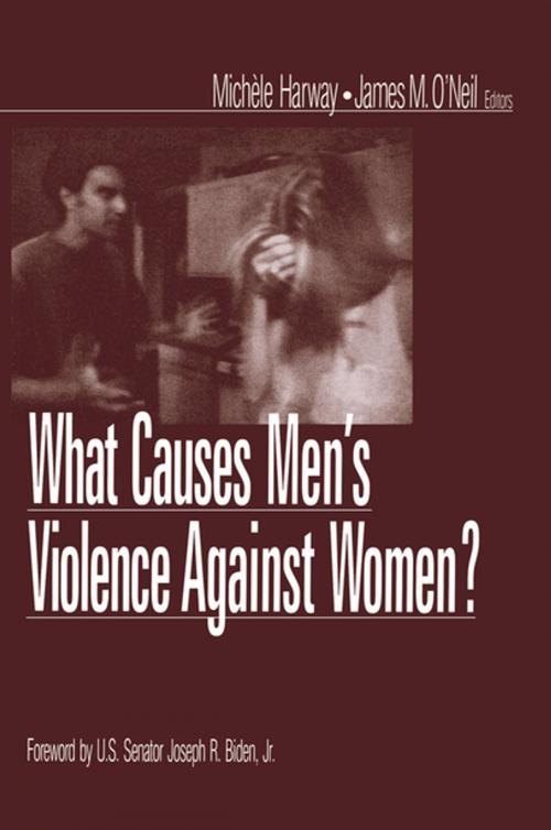 Cover of the book What Causes Men's Violence Against Women? by , SAGE Publications