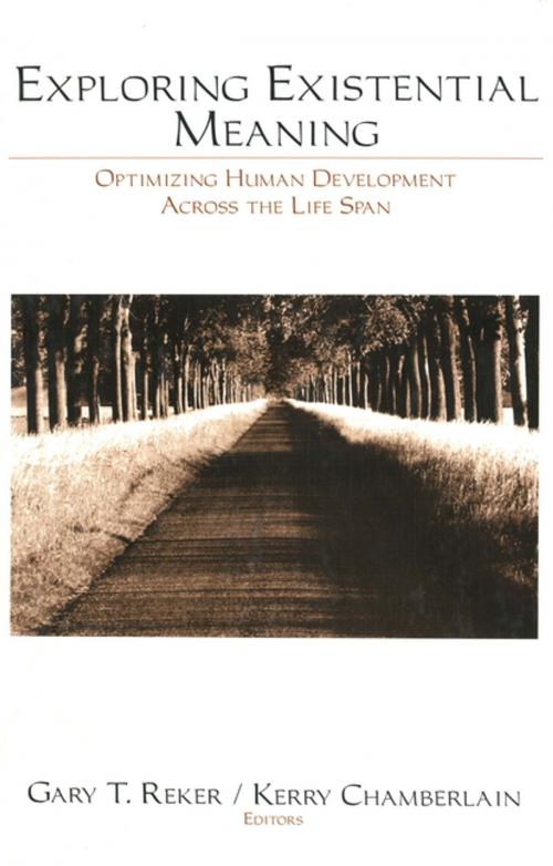 Cover of the book Exploring Existential Meaning by , SAGE Publications