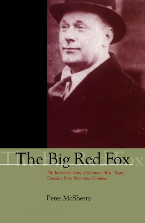 Cover of the book The Big Red Fox by Peter McSherry, Dundurn