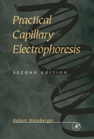 Cover of the book Practical Capillary Electrophoresis by Yoram Shiftan, Maria Kamargianni