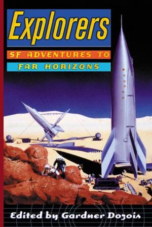 Cover of the book Explorers by Mike Laughrey