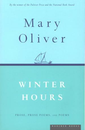 Book cover of Winter Hours