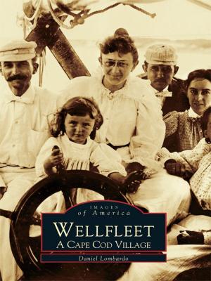 Cover of the book Wellfleet by Frank Heppner