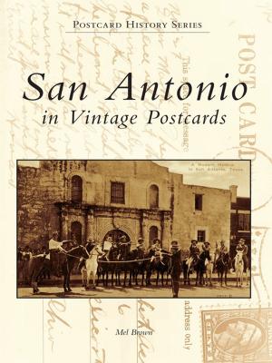 Cover of the book San Antonio in Vintage Postcards by Wallace K. Ewing Ph.D., Elizabeth Dobbie, Tri-Cities Historical Museum