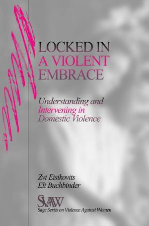 Cover of the book Locked in A Violent Embrace by Dr. Richard H. Audet, Dr. Linda K. Jordan