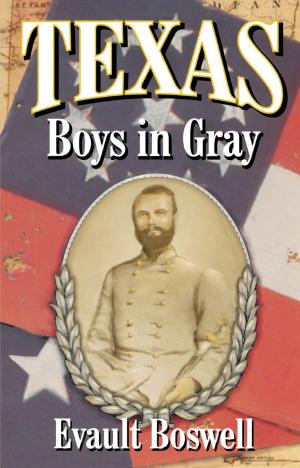 Cover of the book Texas Boys In Gray by George Cantor