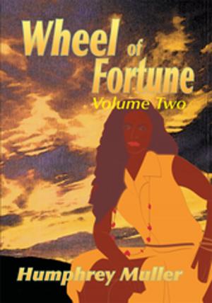 Cover of the book Wheel of Fortune by Dr. J. Patrick Daugherty