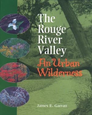 Cover of the book The Rouge River Valley by Bongani Kona