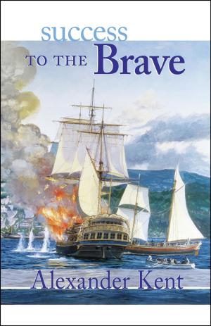 Cover of the book Success to the Brave by Julian Stockwin