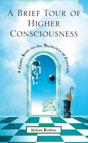 Cover of the book A Brief Tour of Higher Consciousness by Ariiah