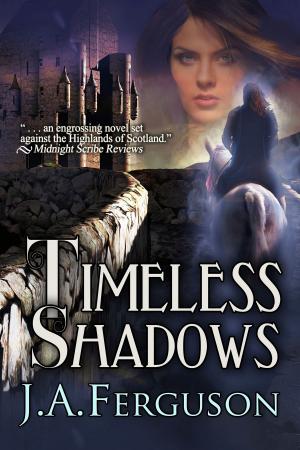 Cover of the book Timeless Shadows by Lilith Saintcrow