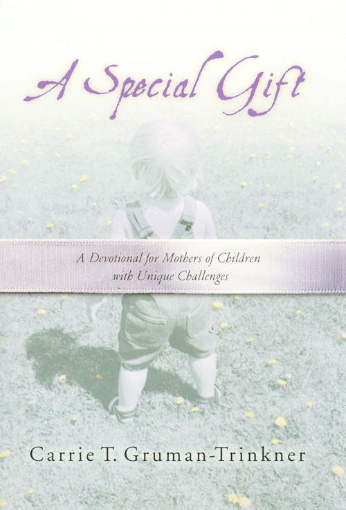 Cover of the book A Special Gift by Carrie Gruman-Trinkner, Thomas Nelson