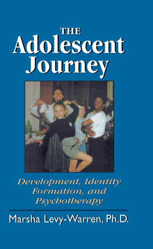 Cover of the book The Adolescent Journey by Marsha Levy-Warren, Jason Aronson, Inc.