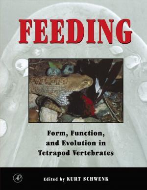 Cover of the book Feeding by Melvin L DePamphilis