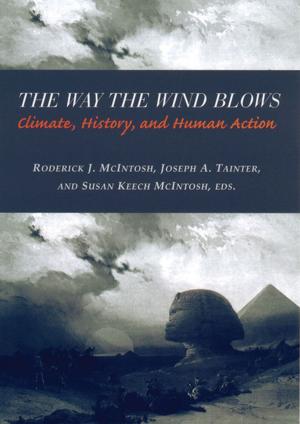 Cover of the book The Way the Wind Blows by Stephen Schryer