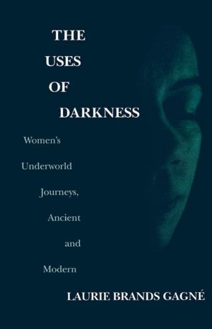 Cover of the book The Uses of Darkness by Louis H. Feldman