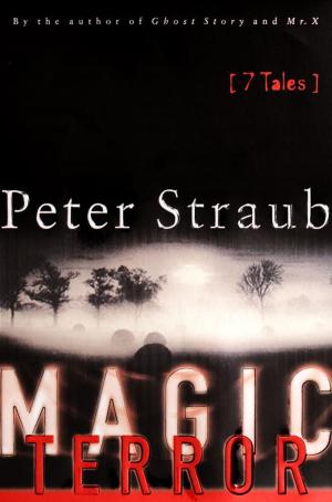 Cover of the book Magic Terror by Cecilia Grant